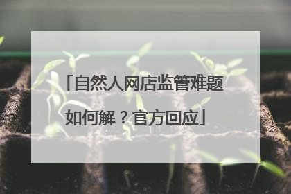 自然人网店监管难题如何解？官方回应