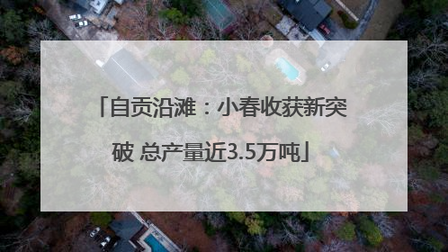 自贡沿滩：小春收获新突破 总产量近3.5万吨