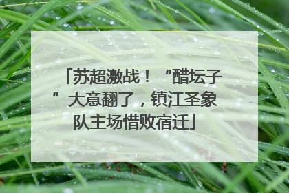 苏超激战！“醋坛子”大意翻了，镇江圣象队主场惜败宿迁