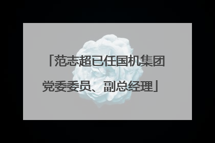 范志超已任国机集团党委委员、副总经理