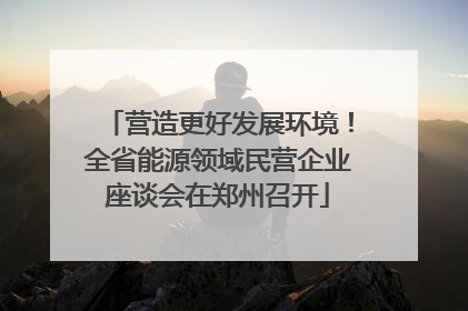 营造更好发展环境！全省能源领域民营企业座谈会在郑州召开