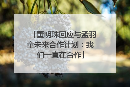 董明珠回应与孟羽童未来合作计划：我们一直在合作