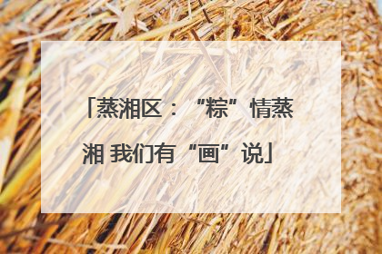 蒸湘区：“粽”情蒸湘 我们有“画”说