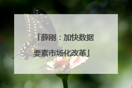 薛刚：加快数据要素市场化改革