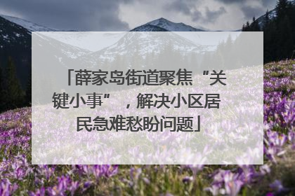 薛家岛街道聚焦“关键小事”，解决小区居民急难愁盼问题
