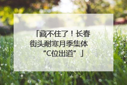 藏不住了！长春街头耐寒月季集体“C位出道”