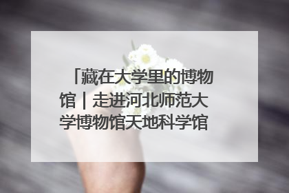 藏在大学里的博物馆｜走进河北师范大学博物馆天地科学馆：在校园里赴一场“宇宙之约”