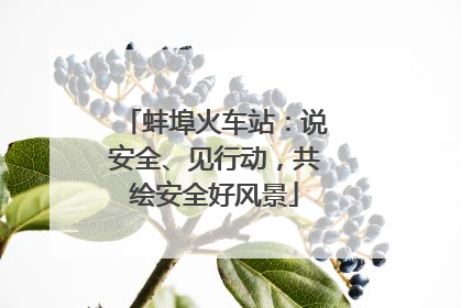 蚌埠火车站：说安全、见行动，共绘安全好风景