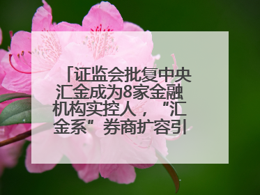 证监会批复中央汇金成为8家金融机构实控人，“汇金系”券商扩容引合并遐想