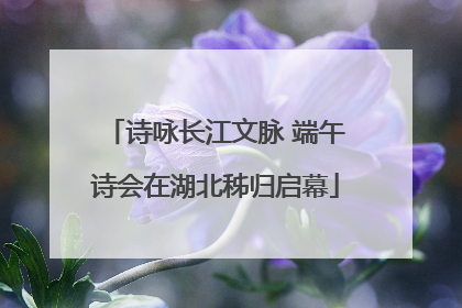 诗咏长江文脉 端午诗会在湖北秭归启幕