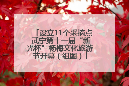 设立11个采摘点 武宁第十一届“新光杯”杨梅文化旅游节开幕（组图）