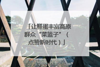 让鲜蛋丰富高原群众“菜篮子”（点赞新时代）