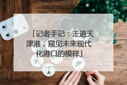 记者手记：走进天津港，窥见未来现代化港口的模样