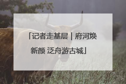 记者走基层｜府河焕新颜 泛舟游古城