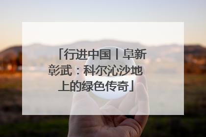 行进中国丨阜新彰武：科尔沁沙地上的绿色传奇