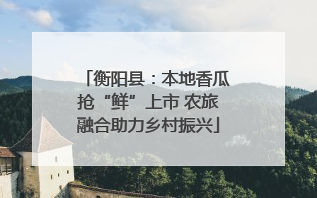 衡阳县：本地香瓜抢“鲜”上市 农旅融合助力乡村振兴