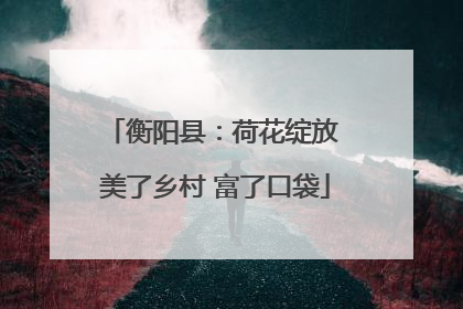 衡阳县：荷花绽放 美了乡村 富了口袋