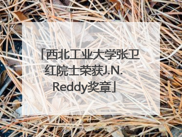 西北工业大学张卫红院士荣获J.N.Reddy奖章