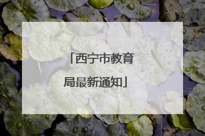 西宁市教育局最新通知