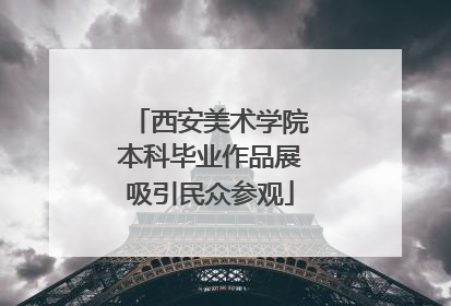 西安美术学院本科毕业作品展吸引民众参观