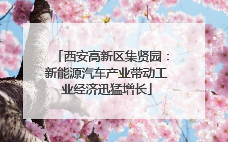 西安高新区集贤园：新能源汽车产业带动工业经济迅猛增长