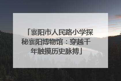 襄阳市人民路小学探秘襄阳博物馆：穿越千年触摸历史脉搏