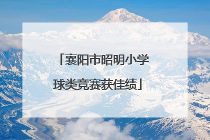 襄阳市昭明小学球类竞赛获佳绩