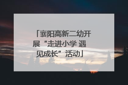襄阳高新二幼开展“走进小学 遇见成长”活动