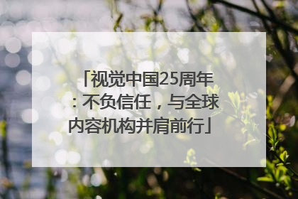 视觉中国25周年：不负信任，与全球内容机构并肩前行