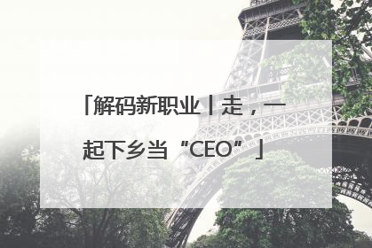 解码新职业丨走，一起下乡当“CEO”