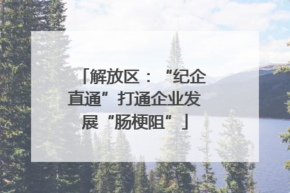 解放区：“纪企直通”打通企业发展“肠梗阻”