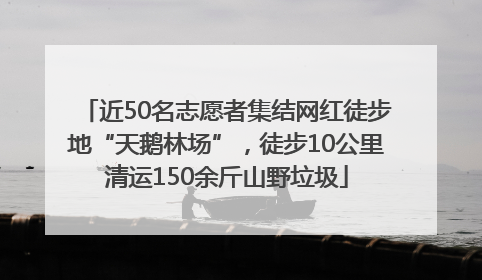 近50名志愿者集结网红徒步地“天鹅林场”，徒步10公里清运150余斤山野垃圾