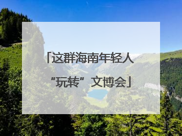 这群海南年轻人“玩转”文博会