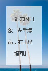 进击的白象：左手爆品，右手经销商