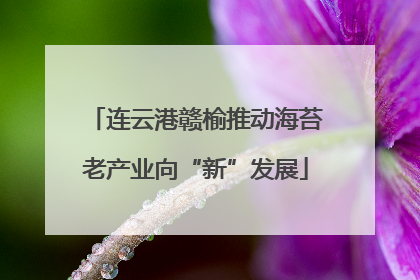 连云港赣榆推动海苔老产业向“新”发展