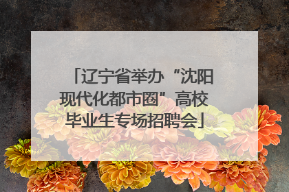 辽宁省举办“沈阳现代化都市圈”高校毕业生专场招聘会