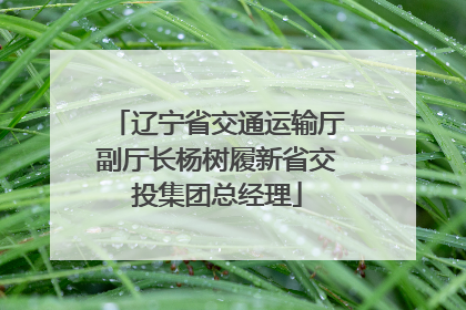 辽宁省交通运输厅副厅长杨树履新省交投集团总经理