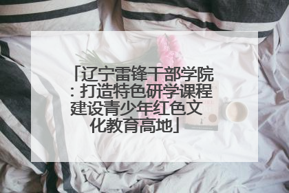 辽宁雷锋干部学院：打造特色研学课程 建设青少年红色文化教育高地