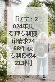 辽宁：2024年共受理专利预审请求7468件 获专利授权4213件