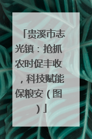 贵溪市志光镇：抢抓农时促丰收，科技赋能保粮安（图）