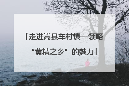 走进嵩县车村镇—领略“黄精之乡”的魅力