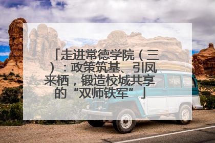 走进常德学院（三）：政策筑基、引凤来栖，锻造校城共享的“双师铁军”
