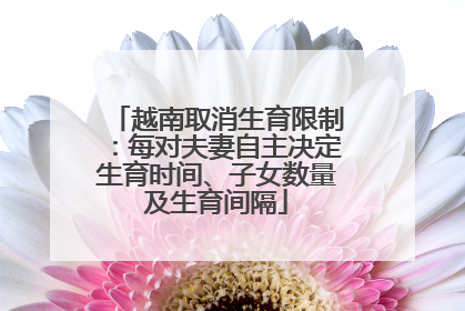 越南取消生育限制：每对夫妻自主决定生育时间、子女数量及生育间隔