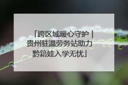 跨区域暖心守护｜贵州驻温劳务站助力黔籍娃入学无忧