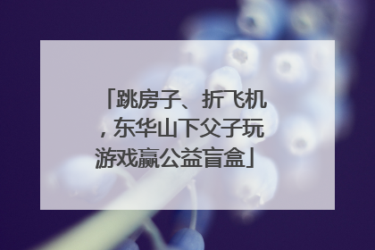 跳房子、折飞机，东华山下父子玩游戏赢公益盲盒