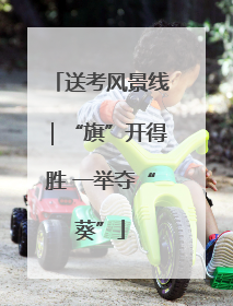 送考风景线｜“旗”开得胜 一举夺“葵”