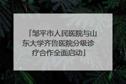 邹平市人民医院与山东大学齐鲁医院分级诊疗合作全面启动