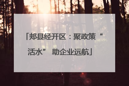 郏县经开区：聚政策“活水” 助企业远航