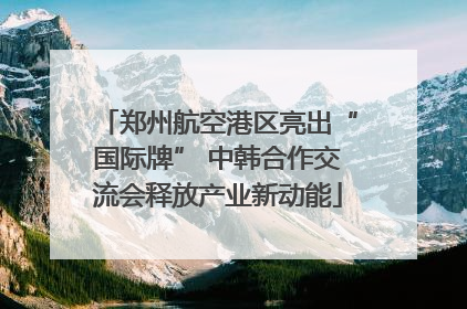 郑州航空港区亮出“国际牌” 中韩合作交流会释放产业新动能