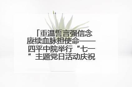 重温誓言强信念 赓续血脉担使命——四平中院举行“七一”主题党日活动庆祝建党104周年